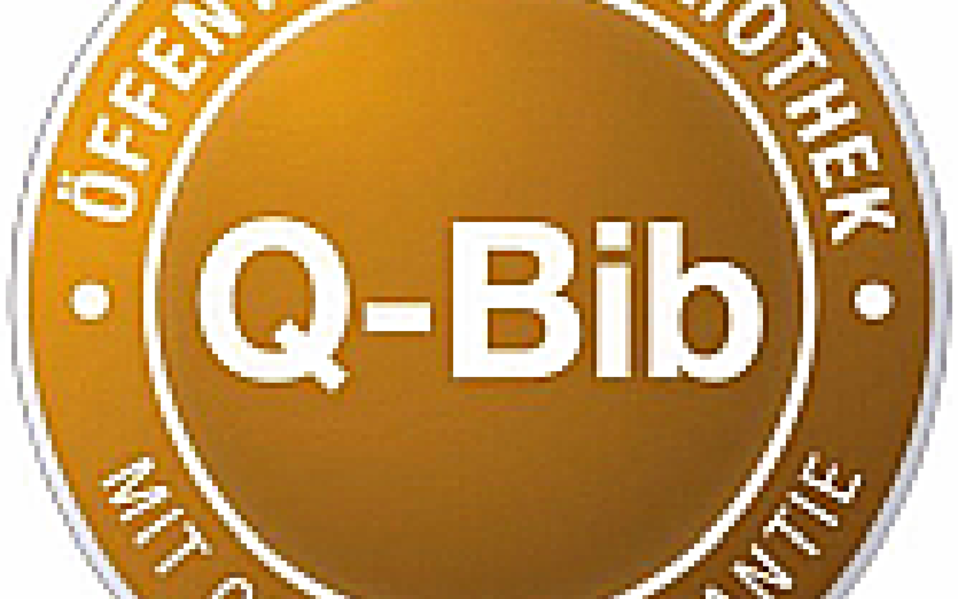 Q Bib Logo