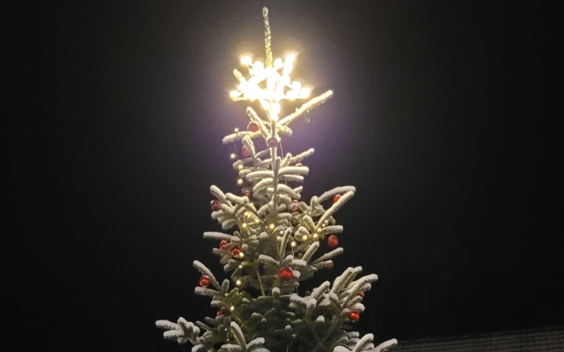 Tanne mit Stern und Schnee